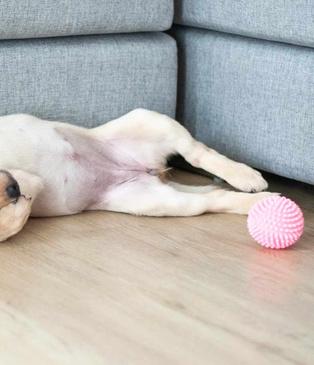 Rubber ball