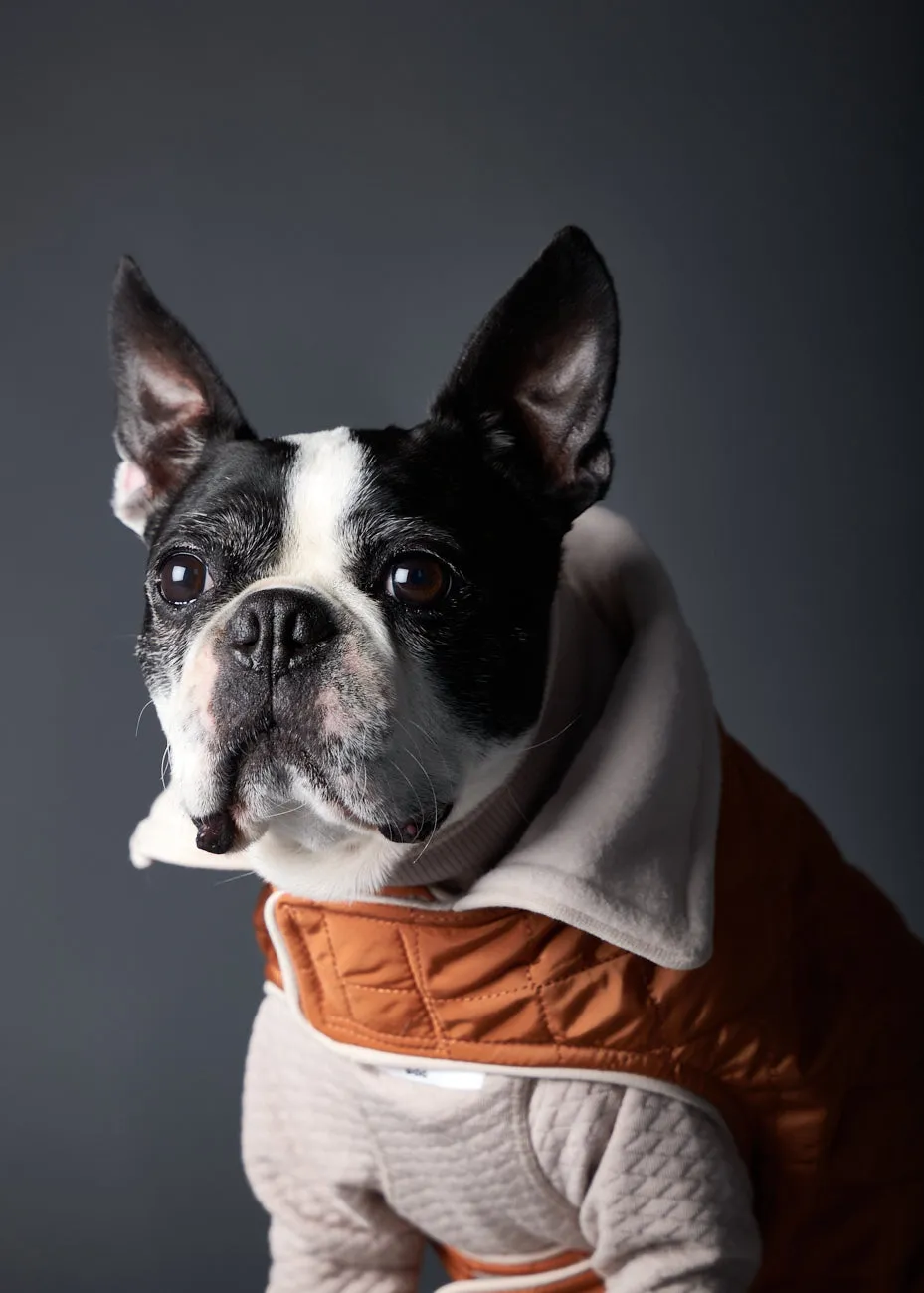 Terracotta Reversible Waterproof Jacket SUNSET