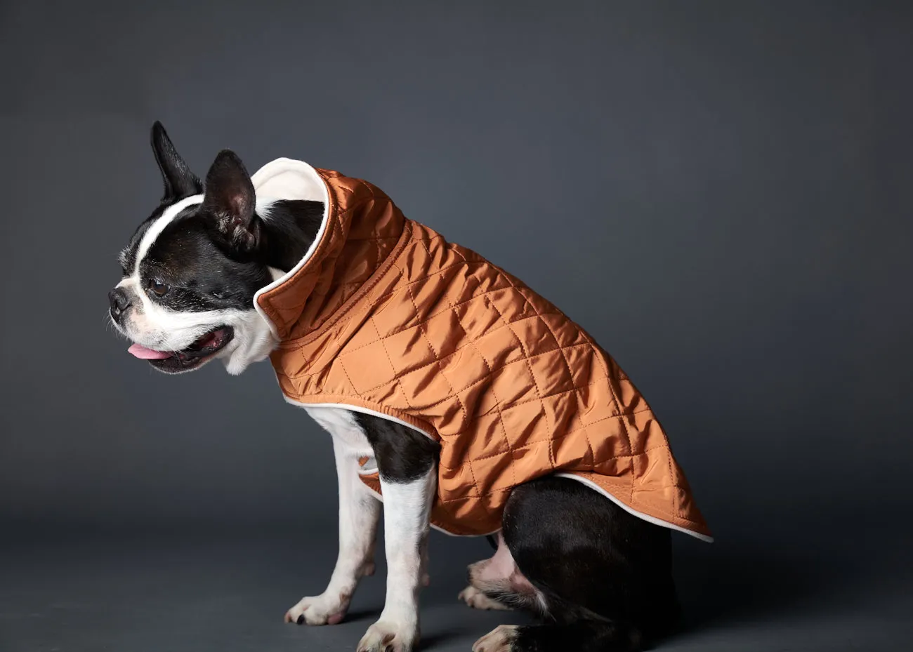 Terracotta Reversible Waterproof Jacket SUNSET