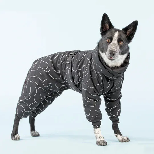 Winter Suit for Dogs