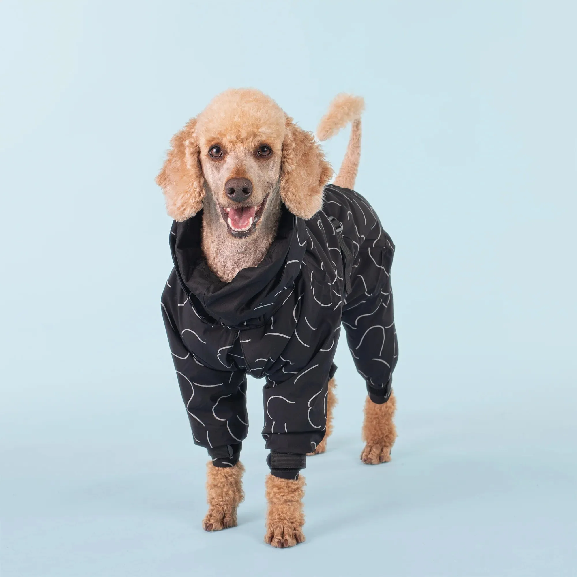 Winter Suit for Dogs