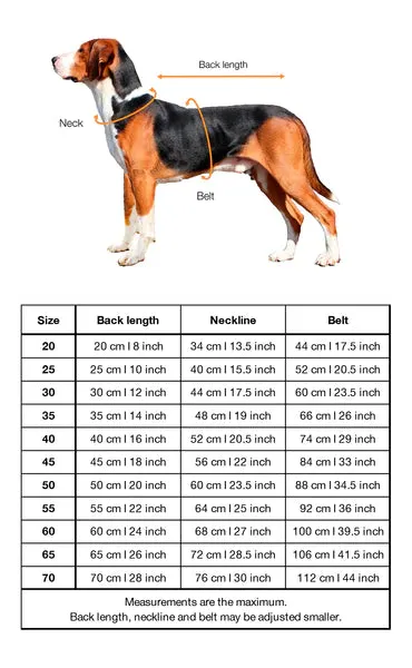 Winter Suit for Dogs