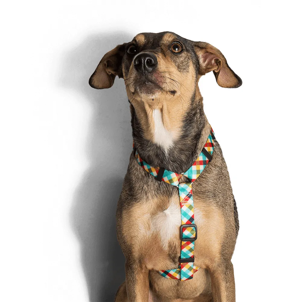 Zee.Dog Phantom H-Harness