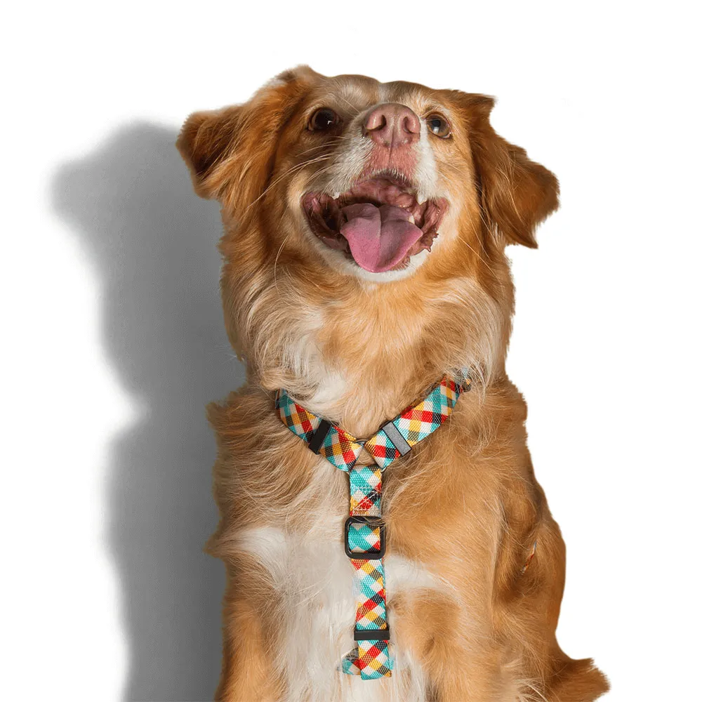 Zee.Dog Phantom H-Harness